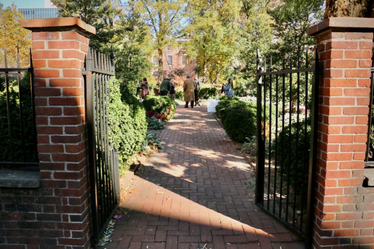 A doorway opens into a garden