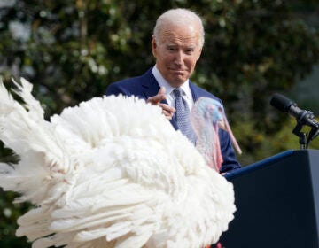 President Joe Biden speaks after pardoning the national Thanksgiving turkey, Liberty, during a pardoning ceremony at the White House in Washington, Monday, Nov. 20, 2023.