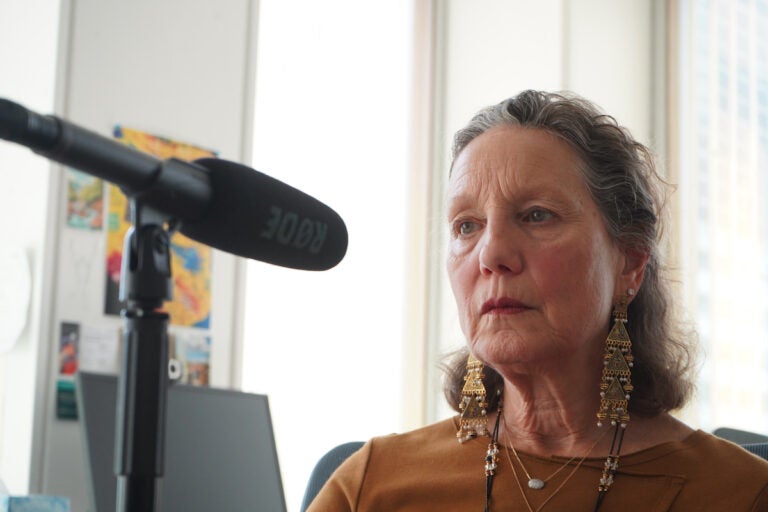 A close-up of Liz Hersh sitting in front of a microphone.