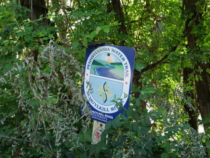 Signage at the trail