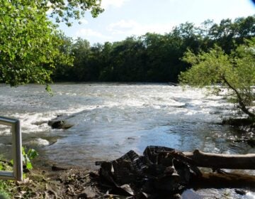 View of the river