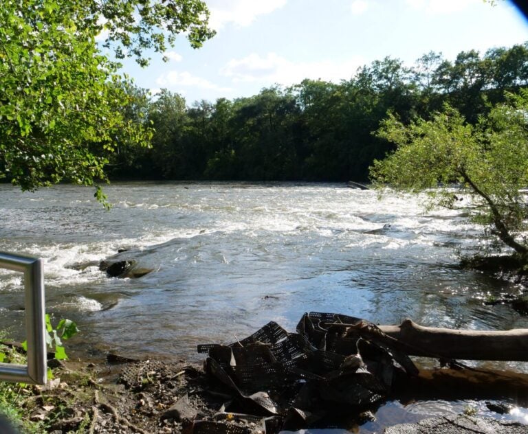 View of the river