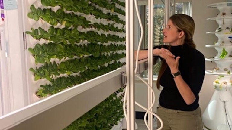 Melissa Tracey in her lab.