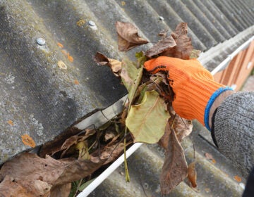 A hand reaches out, holding a pile of leaves and removing it from a gutter