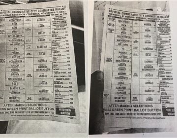 real and doctored ballots