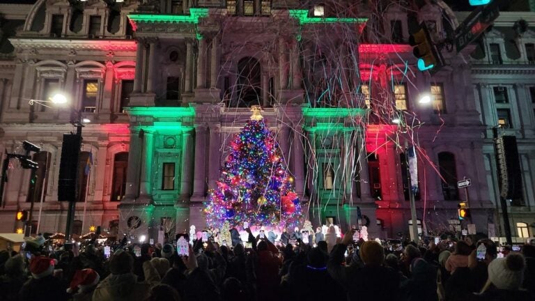 A crowd gathered for the tree lighting