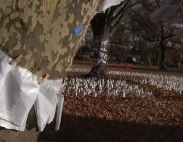 A tree and an area in Clark Park with white flags and papers that is a memorial to Palestinians