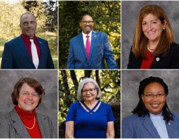 Left to right from the top: Bill Dennon, Jeffrey Jones, Elaine Paul Schaefer, Christine Reuther, Joy Schwartz, and Dr. Monica Taylor are candidates for the Delaware County Council.