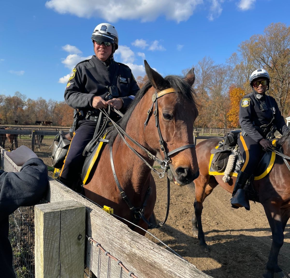 A police officer riding a horse.