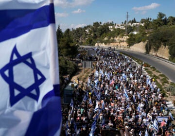 A flag of Israel is visible, and stretching into the distance is a crowd of people marching