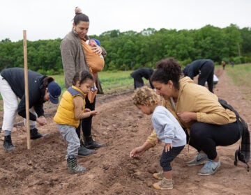 From left to right: Chef April McGregor, Megan Thompson with children Pasquale and Toussaint, Selah and Faith Moynihan, plant lima beans at Plowshare Farms in Pipersville, Pennsylvania. (Lindsay Lazarski/WHYY)