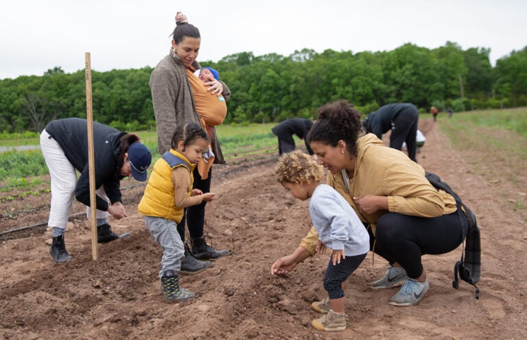 From left to right: Chef April McGregor, Megan Thompson with children Pasquale and Toussaint, Selah and Faith Moynihan, plant lima beans at Plowshare Farms in Pipersville, Pennsylvania. (Lindsay Lazarski/WHYY)