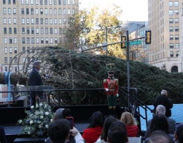 A tree is visible laid on its side in front of a crowd of people outside.