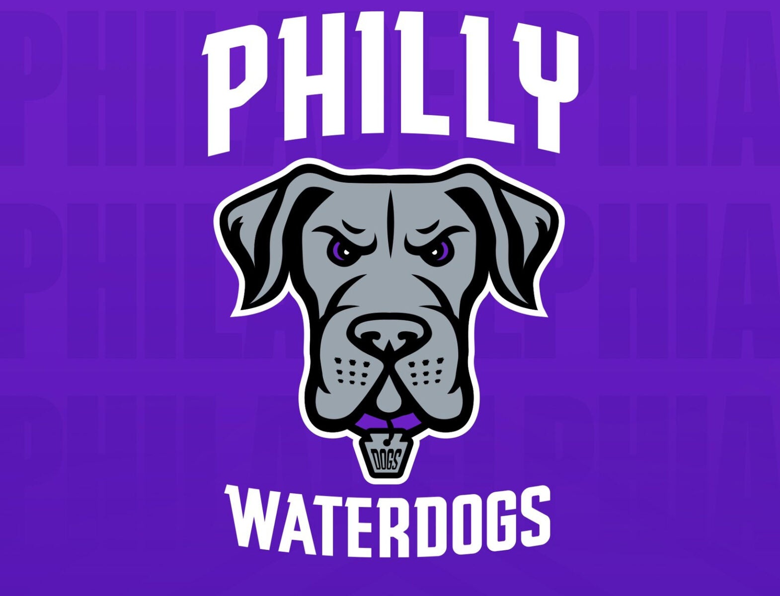 Philly named home city of the Waterdogs lacrosse team WHYY