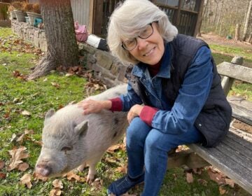 Susan Armstrong-Magidson poses for a photo while seated on a bench next to pet pig Fiona