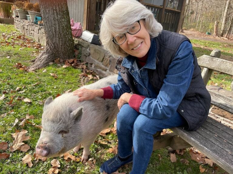 Susan Armstrong-Magidson poses for a photo while seated on a bench next to pet pig Fiona