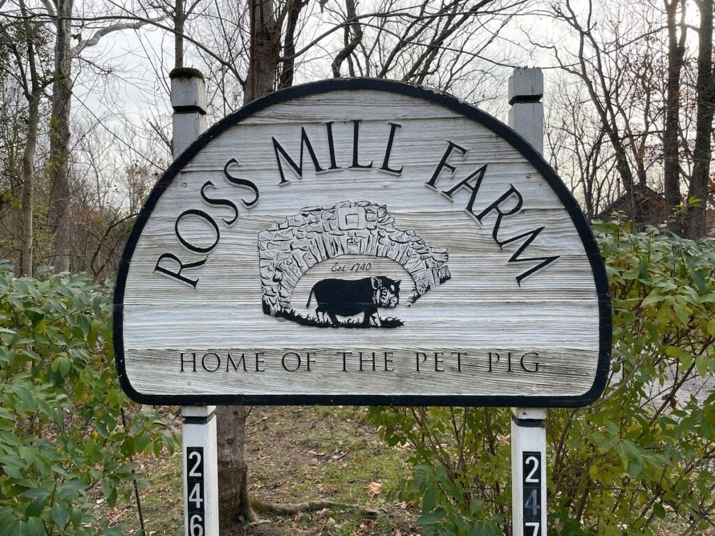 A sign reads welcome to Ross Mill Farm.