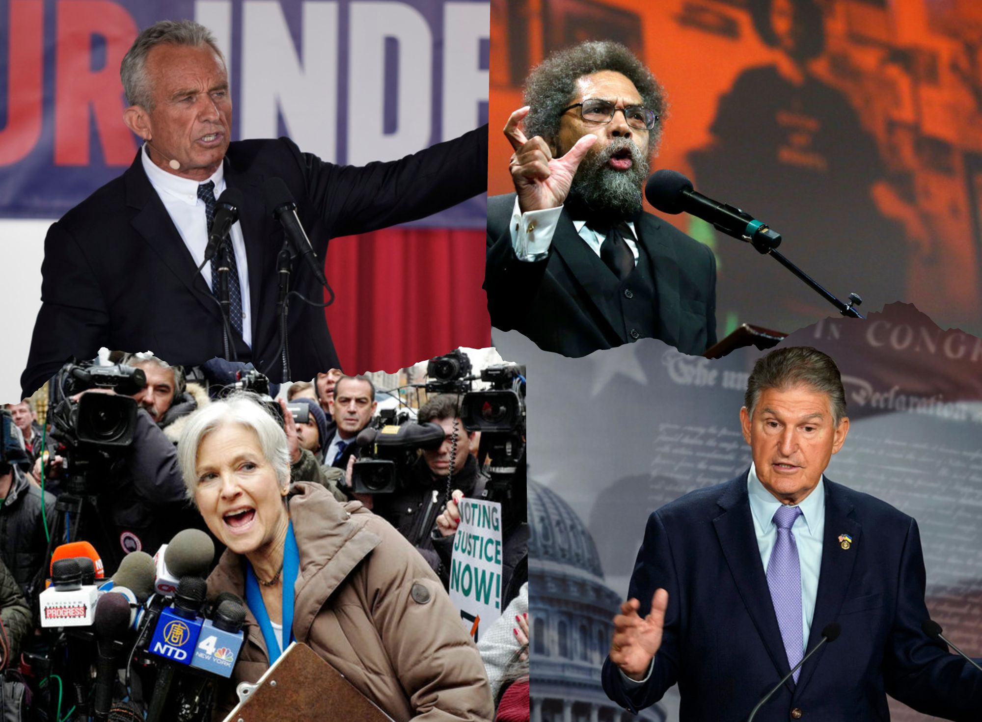 Are Third-Party Presidential Candidates Spoilers? Johnny Doc on Trial, A Fish with 'Feet' - Vimarsana News