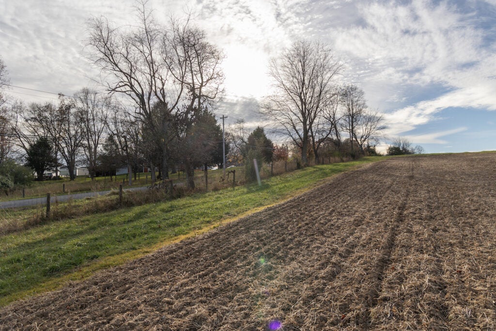 An open field near a road and farmland.