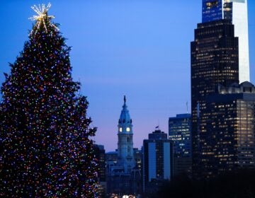 Christmas tree in front of Philly skyline