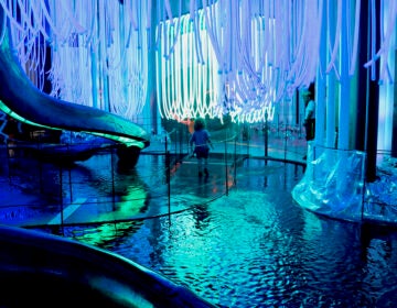 A child walking in an colorful immersive art exhibit.