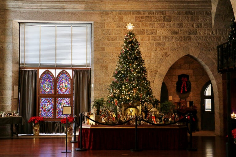 A nativity scene with a Christmas tree on display