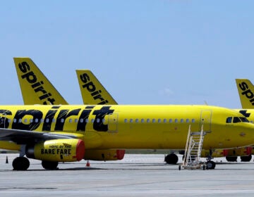 A Spirit Airlines jet on a runway