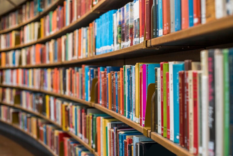 A row of books on bookshelves