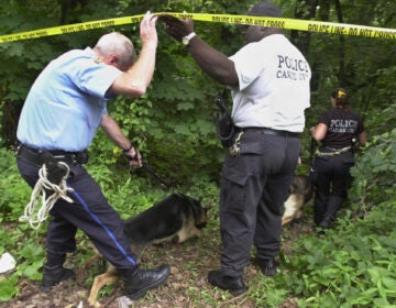Philadelphia K-9 unit police walk into an area of Fairmount Park where the body of a woman, suspected to be that of fourth-year medical student Rebecca Park, was discovered, July 17, 2003, during an ongoing investigation of the scene the following day, July 18, in Philadelphia.