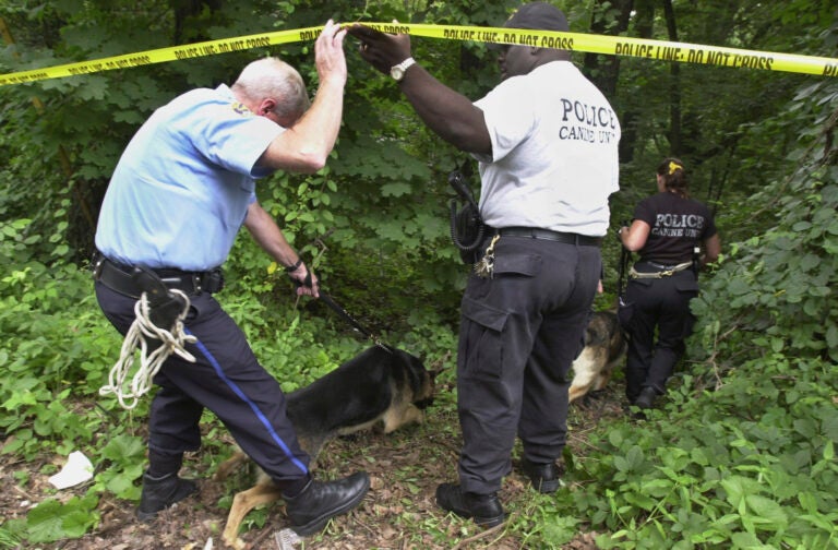 Philadelphia K-9 unit police walk into an area of Fairmount Park where the body of a woman, suspected to be that of fourth-year medical student Rebecca Park, was discovered, July 17, 2003, during an ongoing investigation of the scene the following day, July 18, in Philadelphia.