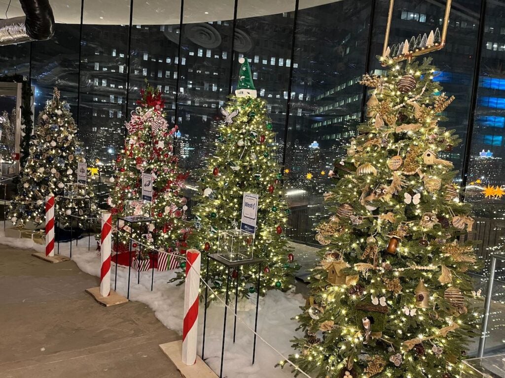 Decorated trees on display