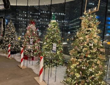 Decorated trees on display