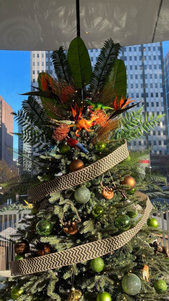 A close-up view of the top of a decorated Christmas tree