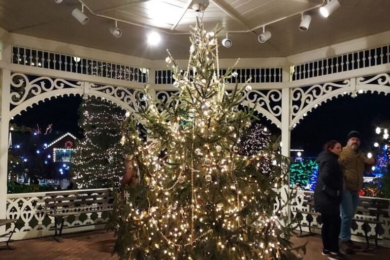 A tree with lights in a gazebo