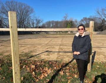 Thao Le stands next to a fence and an open area that's her property.