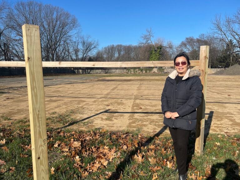 Thao Le stands next to a fence and an open area that's her property.