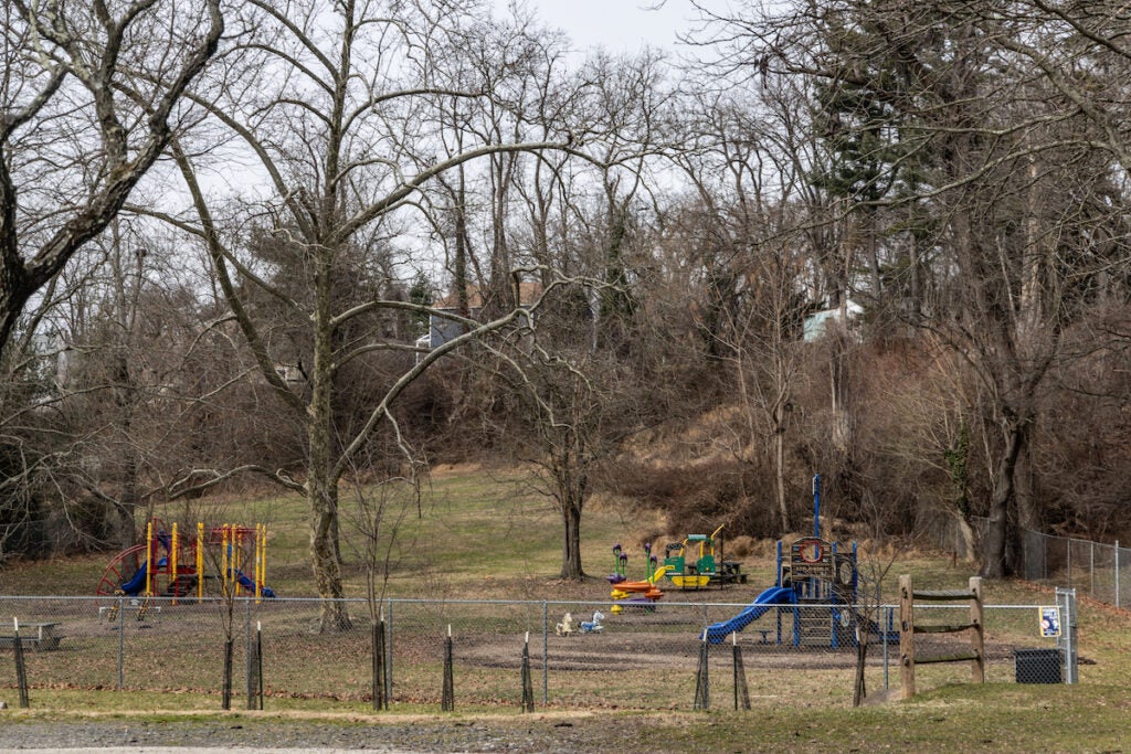 A playground visible among several tall trees