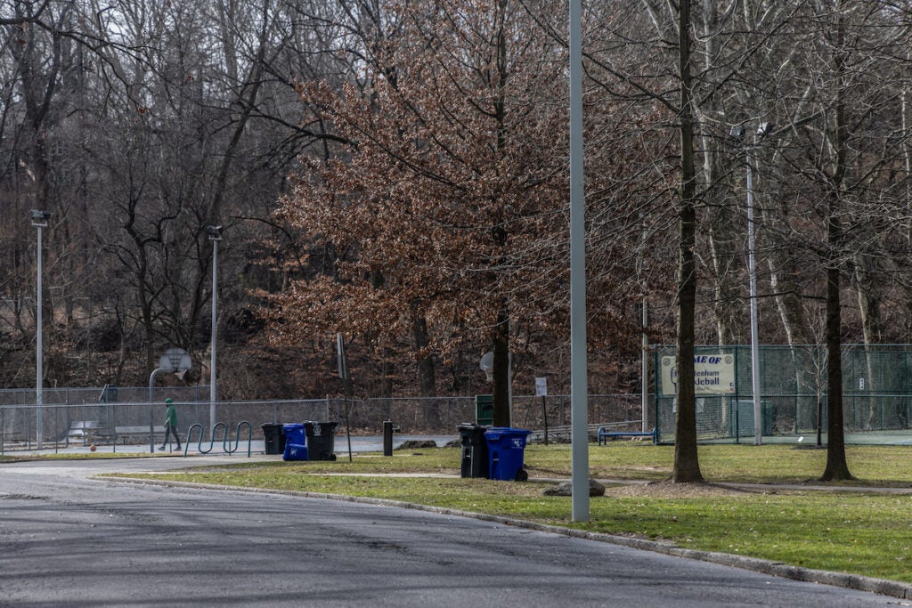 A view of a park with trees in Elkins Park