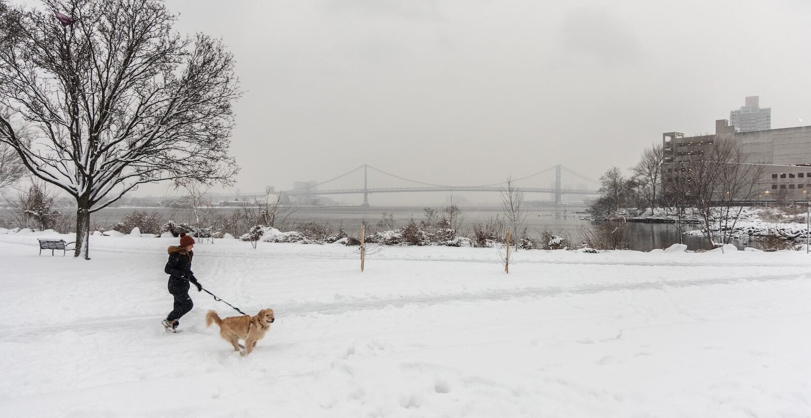 A person walks their dog in the snow
