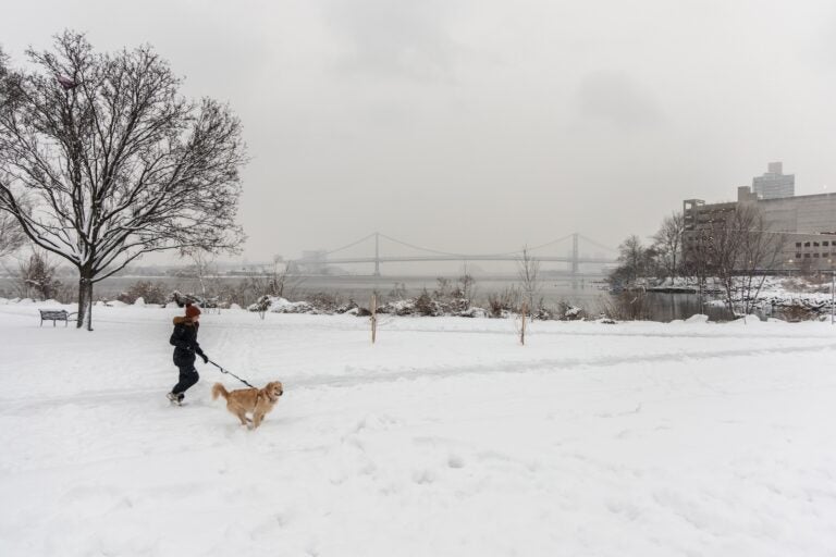 A person walks their dog in the snow