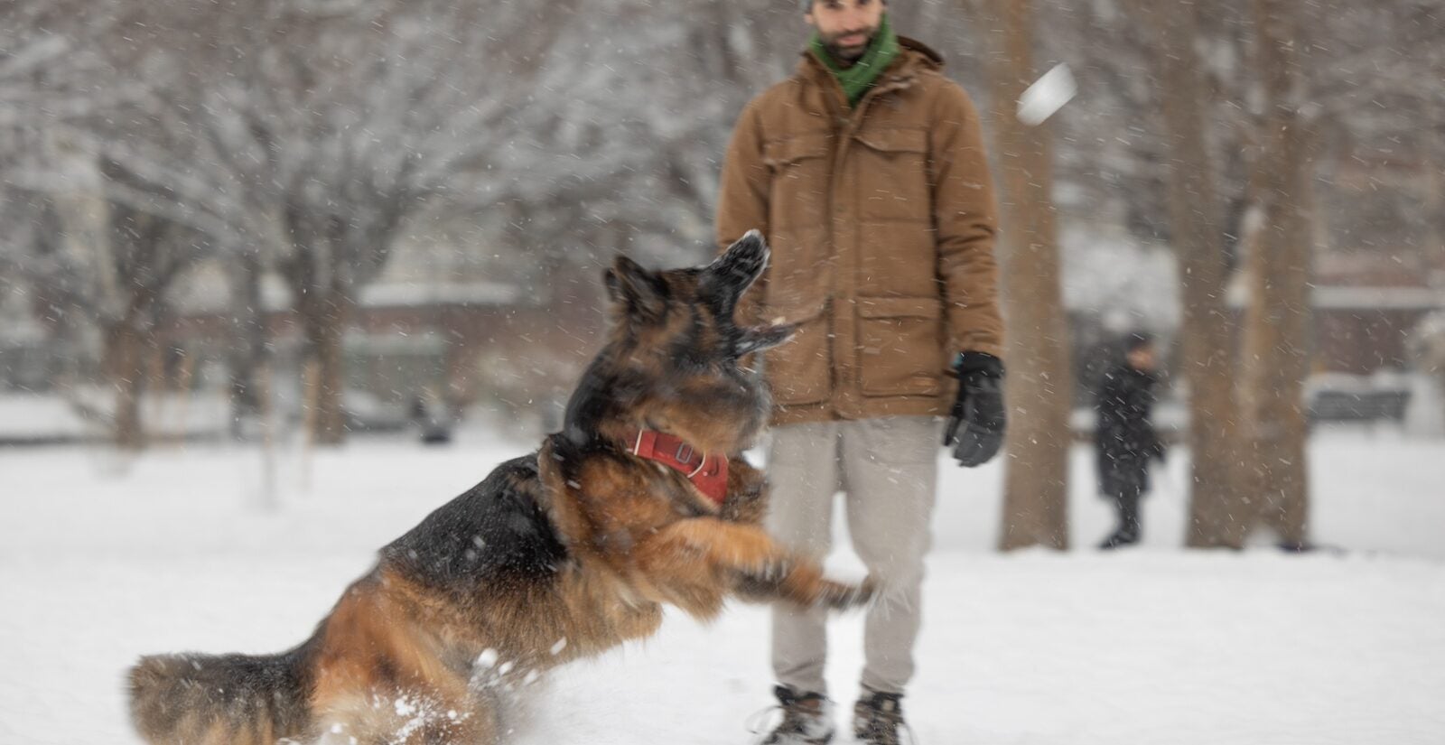 Kira catches a snowball at Penn Treaty Park during a snow storm in Philadelphia on Jan. 19, 2024.