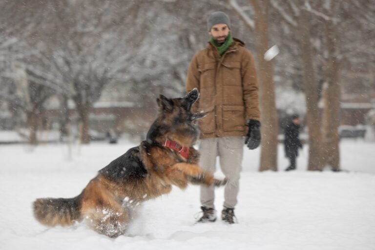 Kira catches a snowball at Penn Treaty Park during a snow storm in Philadelphia on Jan. 19, 2024.