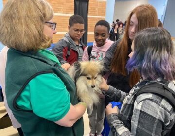  Students at Millstone high school visit with an Attitudes in Reverse therapy dog. (Courtesy Attitudes in Reverse)