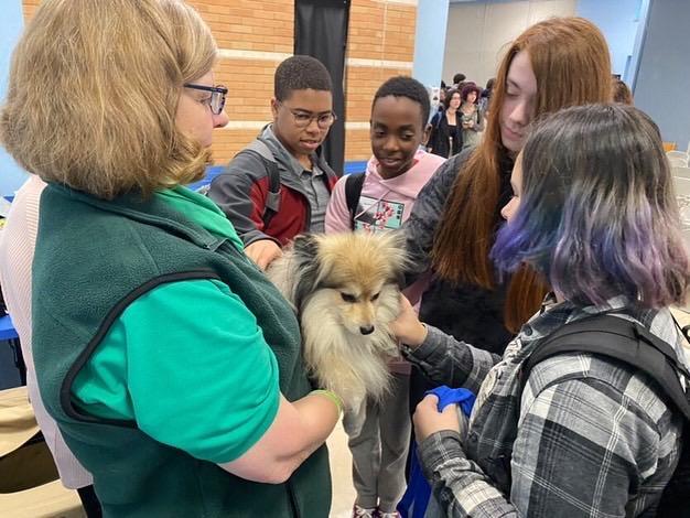  Students at Millstone high school visit with an Attitudes in Reverse therapy dog. (Courtesy Attitudes in Reverse)