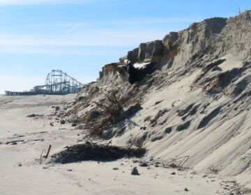 A sand dune on the beach