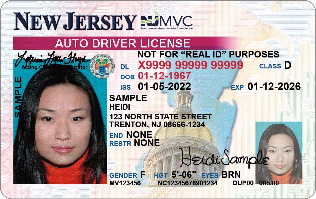 new jersey tourist driver license
