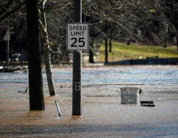 Water flooding Kelly Drive