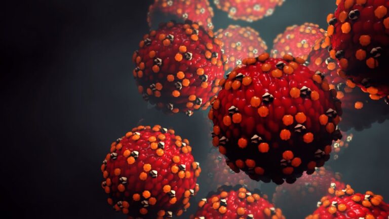 A close-up of measles germs