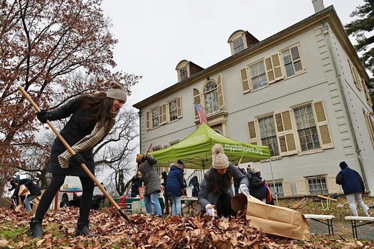 Raking leaves at the park