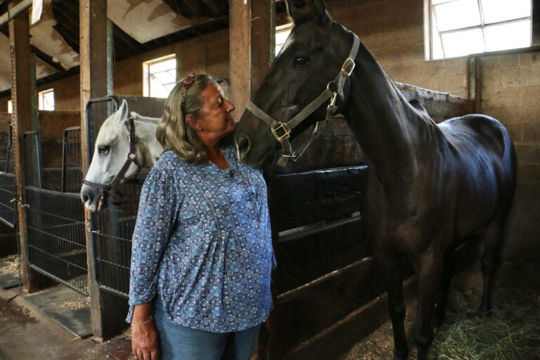 Work to Ride founder Lezlie Hiner stands next to a horse, Cholo, who is in a stable.